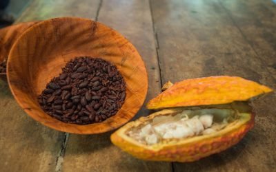 Conmemoración al día internacional del cacao