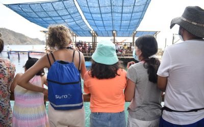 Más de 250 niños cumplen su sueño de conocer el Acuario