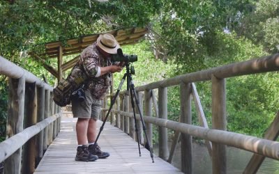 Santa Marta, el mejor lugar para el avistamiento de aves en el mundo