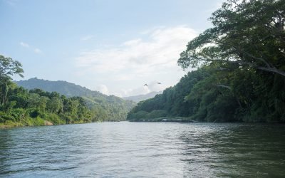 Conéctate con la naturaleza en Santa Marta con estos seis planes