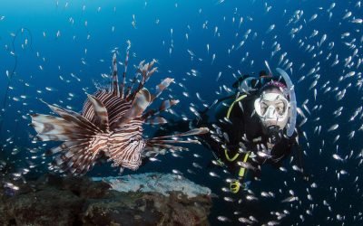 Cinco planes que los aventureros deben hacer si están en Santa Marta