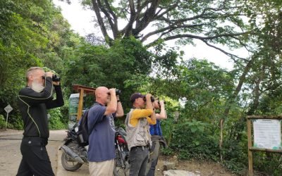 Santa Marta se unió a la gran jornada de avistamiento de aves
