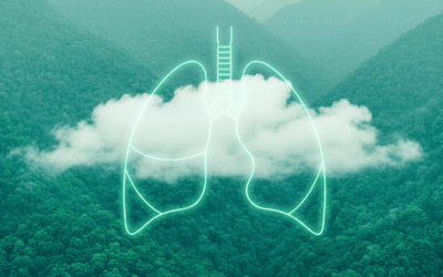 Minca y la Sierra Nevada: el pulmón verde de Santa Marta