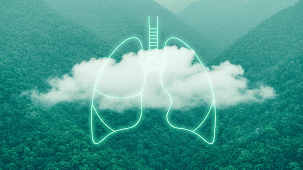 Minca y la Sierra Nevada: el pulmón verde de Santa Marta