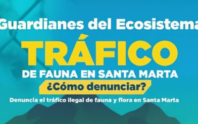 Guía del Guardián del Ecosistema: Turismo Sostenible en Santa Marta