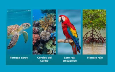 Especies en riesgo de Santa Marta: conócelas, cuídalas y protégelas